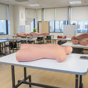 نموذج شفط نخاع العظم للعلوم الطبية - Product Image 5