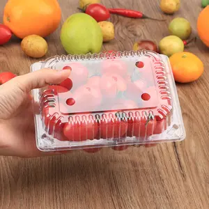 Supermarkt Vruchten Container Aardbei Blister Verpakking Wegwerp Fruit Lade