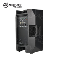 Haut-parleurs de CAC10D7-0.8K Audio Pro de précision 10 pouces 2*100W BT XLR amplificateur son maison Portable haut-parleur de puissance active