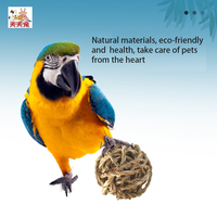 Corde ronde grinçante et jouet de meulage en bois pour petits animaux boule à mâcher interactive pour molaire pour animaux de compagnie pour lapins et autres animaux de compagnie