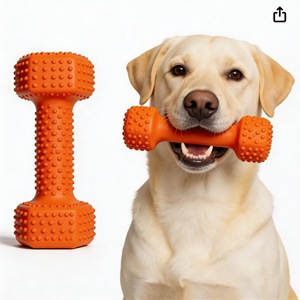 Juguete Masticable para Mascotas, Personalizado, Prácticamente Indestructible, de TPR, Duradero, Seguro, No Tóxico, de Caucho Natural, Interactivo, Huesos para Perros - Product Image 1