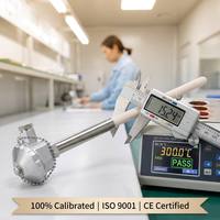 HUADONG High Temperature K & S Type Thermocouple Sensor for Ceramic Furnace Product Category Temperature Sensors
