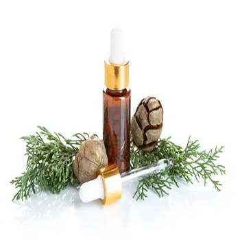 ISO And GMP Manufacturer Sales Organic Essential Oil Cypress Oil For Pimples Acne Anxiety And Stress