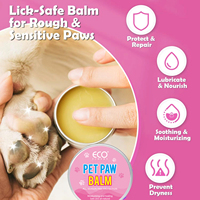 Outil de toilettage naturel pour animaux de compagnie Baume revitalisant pour les pattes de chien Beurre de karité pour les soins de la peau des pieds Protège les pattes de réparation pour l'aventure printanière