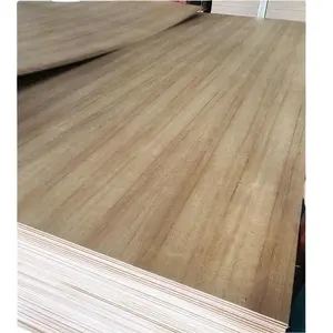 9mm 12mm 16mm 18mm Veneer ván ép tấm óc chó gỗ sồi đỏ Bạch Dương Gỗ Tếch Veneer bảng màu gỗ tự nhiên