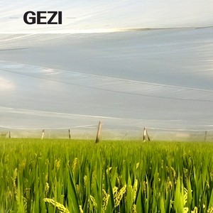 Tomate plante arbuste serre arbre fruitier blanc mouche insecte barrière maille filet coupe personnalisée pour jardin vignoble Agriculture cerceaux - Product Image 5