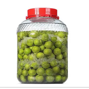 Large 4 Gallon Glass Jar with Lid & Handle/Wide Mouth Canning Jars with Plastic Screw Lids/fermentation tank