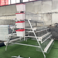 Poulaillers neufs pour poulets de chair et poules pondeuses, type de bâtiment d'élevage disponible à la vente