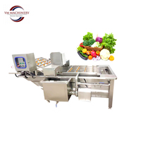 Industriële bubbelwasmachine voor fruit- en groenteverwerkingsbedrijven