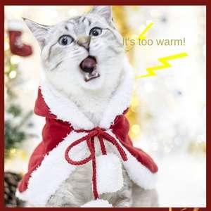 क्रिसमस के पालतू केप हुक हुक सेट कुत्ते ठोस पॉलिएस्टर पर्यावरण के अनुकूल गर्म कोट पोशाक हाथ धोने अवकाश सामान - Product Image 5