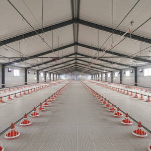 Alimentador automático de pollos con pezones para criadores de pollos de engorde, capas y patos, componente de plástico para uso agrícola - Product Image 1