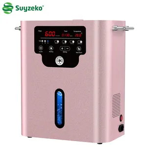Suyzeko Recuperación Salud Venta al por mayor Hogar 600ml Generador de agua de hidrógeno H2 Terapia de inhalación Máquina de respiración