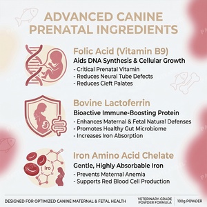 Integratore Multivitaminico Premiscelato Premium per Cani in Gravidanza con DHA e Calcio, Certificato GMP, OEM - Product Image 4