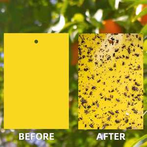 Trappola per Insetti a Stato Solido Impermeabile Ecologica 20x25cm per Interni/Esterni, Cattura Mosche e Zecche, Gialla - Vendita Calda - Product Image 5