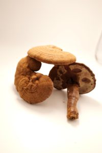 Hoang Dã Reishi Hữu Cơ trồng toàn bộ khô <span class=keywords><strong>Ganoderma</strong></span> Lingzhi Đỏ <span class=keywords><strong>Ganoderma</strong></span> <span class=keywords><strong>lucidum</strong></span> - Product Image 4