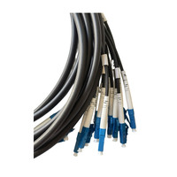 12 fibras LC UPC a LC UPC Pre-terminado (enrollado) para interiores de distribución Multifibra Cable/exteriores Modo único OS2 Cables de 2,0mm