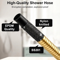 Tuyau de Douche Extensible en Acier Inoxydable 201 Doré pour Douchette à Main – Fournisseur Fabricant