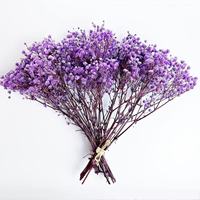 Bunga Gypsophila Paniculata Kering Alami Warna-warni Abadi Awet untuk Dekorasi Pernikahan Grosir