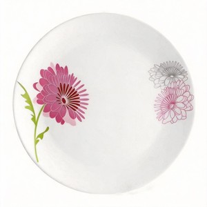 Platos <span class=keywords><strong>de</strong></span> Porcelana Esmaltada Desechables y Ecológicos - Fabricante y Mayorista <span class=keywords><strong>de</strong></span> China - Product Image 5