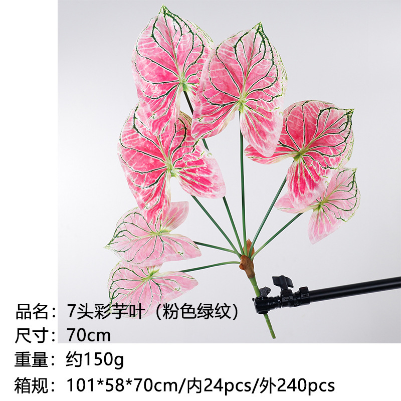 Feuilles de taro à 7 têtes (rose avec rayures vertes) - 70cm