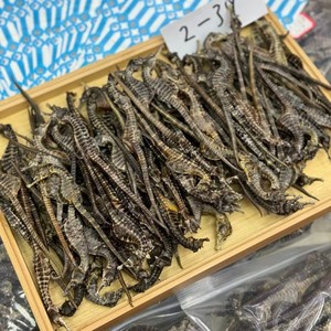 Vente de hippocampes séchés à prix d'usine - Product Image 2
