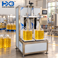 Machine de remplissage d'eau, machine de remplissage de liquides pour engrais foliaires et liquides de nettoyage, remplisseur pondéral à double buse pour seaux