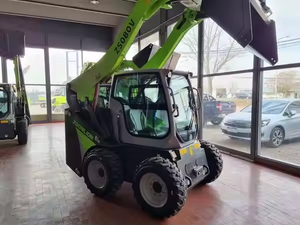 لودر انزلاقي صغير ZS080V أصلي بسعر المصنع مع سعة دلو 0.6 متر مكعب للبيع - Product Image 4