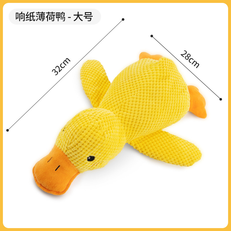 Companion duck large-ring paper catnip