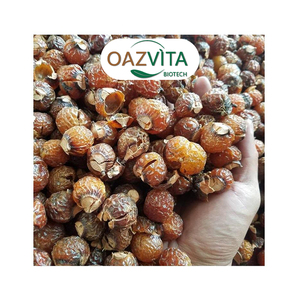 Bán buôn <span class=keywords><strong>soapnuts</strong></span>/xà phòng Hữu Cơ Nuts với giá tốt nhất - Product Image 6