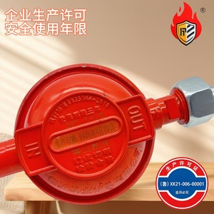 Vanne de réduction de pression GPL 220 mm 87 mm avec manomètre pour bouteille de gaz, norme nationale, action directe, passage direct - Product Image 4
