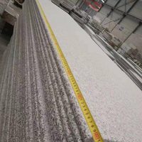 G602 Treppenstufe und Auftritt aus Grauem Granit