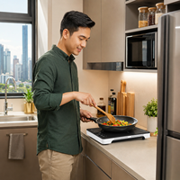 Cuisinière à induction portable 2000W, 8 modes de cuisson, minuteur 3H, plaque de cuisson électrique pour distributeur en gros