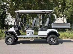 Carro de golf eléctrico para transporte de carga, vehículo utilitario con plataforma de carga para camiones, para uso en caminos no públicos - Product Image 4