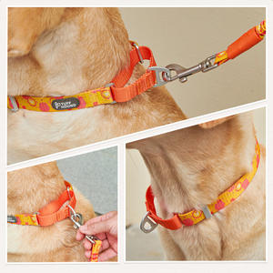 <span class=keywords><strong>Collar</strong></span> y Correa de Nailon Ajustable de Lujo para Mascotas, con Estampado de Huellas de Patas, Hebilla de Liberación Rápida, Diseño de Dibujos Animados - Product Image 4