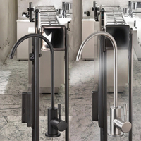Keran Dapur Stainless Steel Modern Klasik Satu Gagang Satu Air Dingin dengan Pemasangan di Atas Meja Satu Lubang