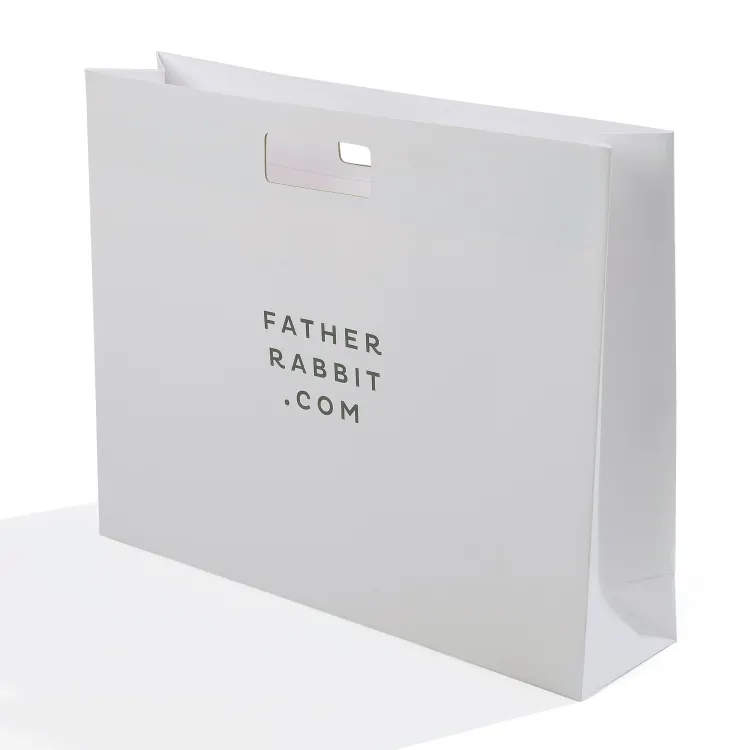 Stampa digitale fatta a mano su misura di carta Mailer borsa di lusso pieghevole al dettaglio sacchetti di carta con manico