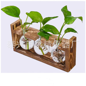 Wooden Hydroponic Test Tube Stand With Glass <b>Vases</b> For Pothos Plants Tabletop Decor Natural Material - Product Image 1