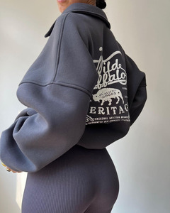 Pullover con mezza Zip da donna personalizzato felpe con cappuccio in cotone 100% <span class=keywords><strong>felpa</strong></span> oversize con <span class=keywords><strong>collo</strong></span> <span class=keywords><strong>a</strong></span> <span class=keywords><strong>Polo</strong></span> rovesciato da donna - Product Image 2