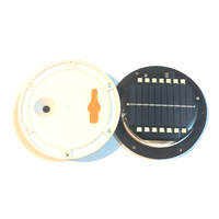 Lumière LED avec RGBW pour pot de fleurs, lumières de jardin avec télécommande