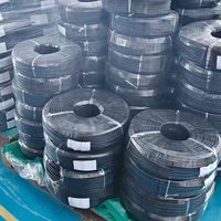 Cable de Extensión de Alimentación 16A 220V C20 C21 IEC320 con Revestimiento de PVC, Certificado SEV para Dispositivos Electrónicos Industriales y de Consumo