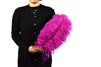 35-40cm Plumes d'autruche panache naturel rouge pour fête carnaval maison mariage pièce maîtresse noël Vase vacances décor bricolage artisanat Floral