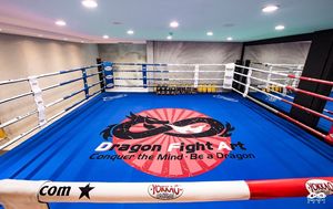Équipement <span class=keywords><strong>de</strong></span> combat commercial <span class=keywords><strong>de</strong></span> haute qualité, pliable rapidement, pour salle <span class=keywords><strong>de</strong></span> sport, <span class=keywords><strong>boxe</strong></span>, MMA, <span class=keywords><strong>ring</strong></span> pliable - Product Image 6