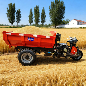 รถสามล้อบรรทุกแบบเปิดประทุนสำหรับการเกษตร <span class=keywords><strong>ขาย</strong></span>ดี พร้อมมอเตอร์ขับเคลื่อน - Product Image 2