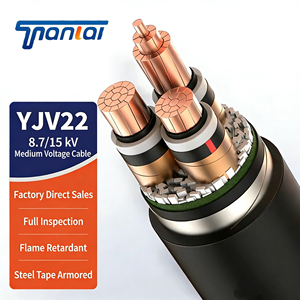 สายไฟฟ้าแรงสูง FY-YJV22 87/15kV ป้อง<span class=keywords><strong>กัน</strong></span>แมลง ป้อง<span class=keywords><strong>กัน</strong></span>ไฟลุก ทนไฟ แบบตีเกลียว 3 แกน ตัวนำอะลูมิเนียม หุ้มเหล็ก - Product Image 3