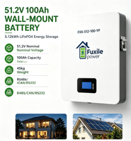 Batería de Almacenamiento de Energía LiFePO4 Integrada en Pared con BMS, 51.2V 100Ah 5.12kWh, 6000 Ciclos, Compatible con Conexión en Paralelo