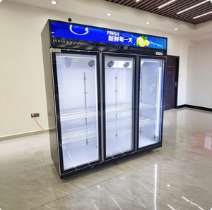 Congelador Vertical Comercial con Puerta de Vidrio, Refrigerador Combinado con 1, 2 o 3 Puertas de Vidrio para Bebidas - Product Image 5