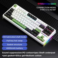 Nouveau clavier mécanique ergonomique AULA F87 PRO à 87 touches en plastique, rétroéclairage RGB, sans fil, type-C, trois modes, touches personnalisables, pour le jeu et la frappe