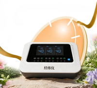 Appareil de Biothérapie Électrique Intelligent Portable et Durable pour Soulagement des Douleurs Corporelles, Utilisation Extérieure, Domestique, Hôtelière et en Camping-Car, à Corps en Plastique, pour la Bioénergie des Méridiens