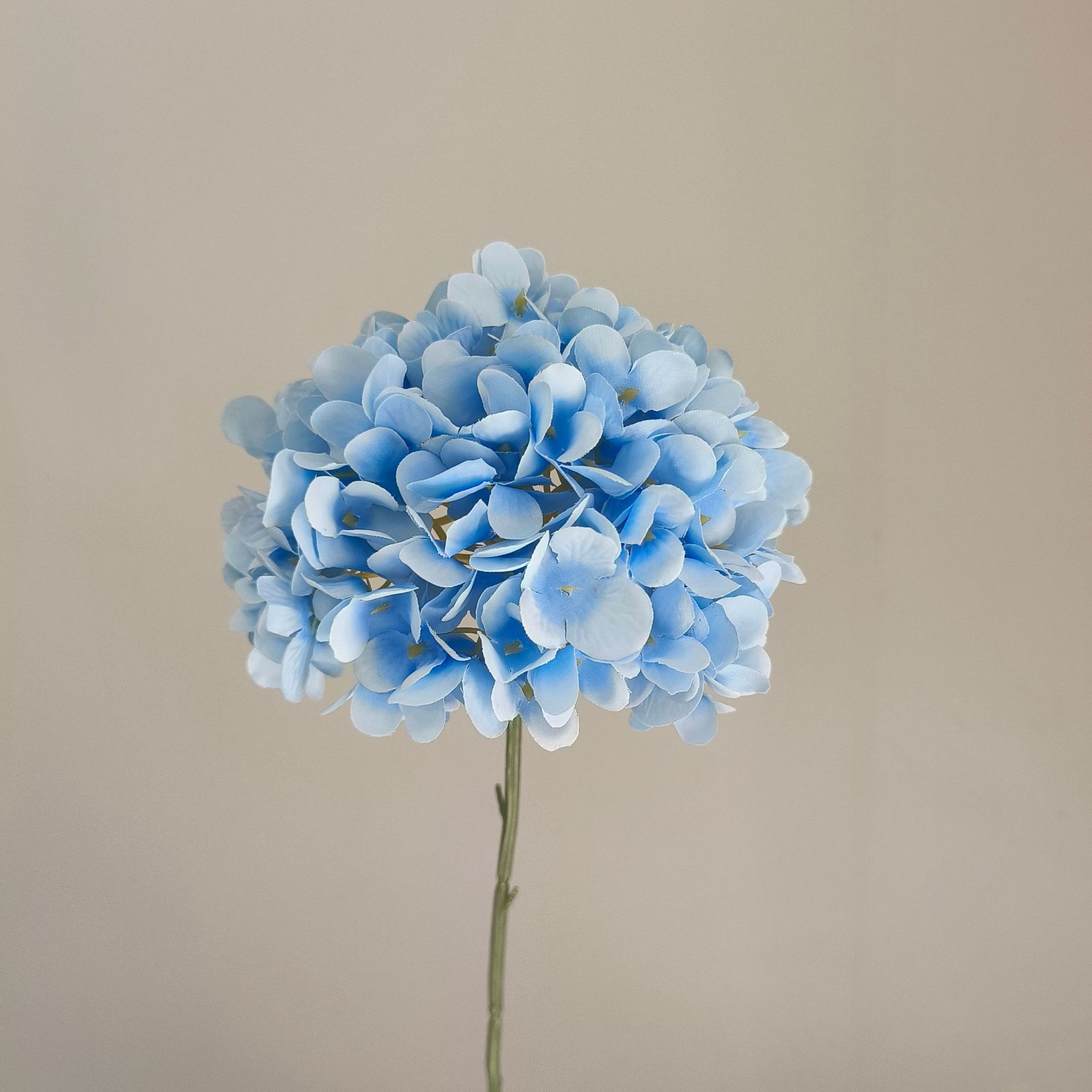 Bleu clair
