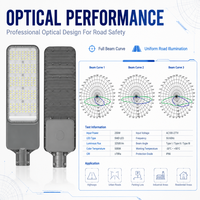 Lampu Jalan LED Outdoor Batwing Optics 250W IP66 untuk Penerangan Jalan Raya dan Jalan Kota